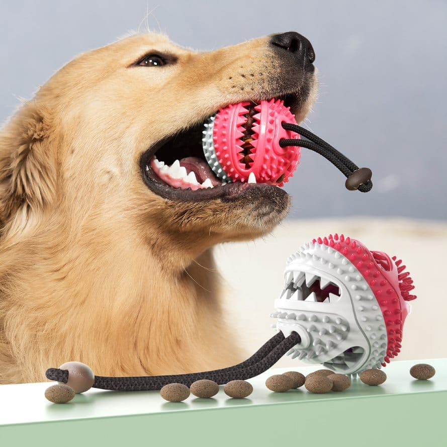 Brinquedo Bola para Cachorro Porta Petiscos Cães Borracha Resistente com Corda para Morder e Puxar