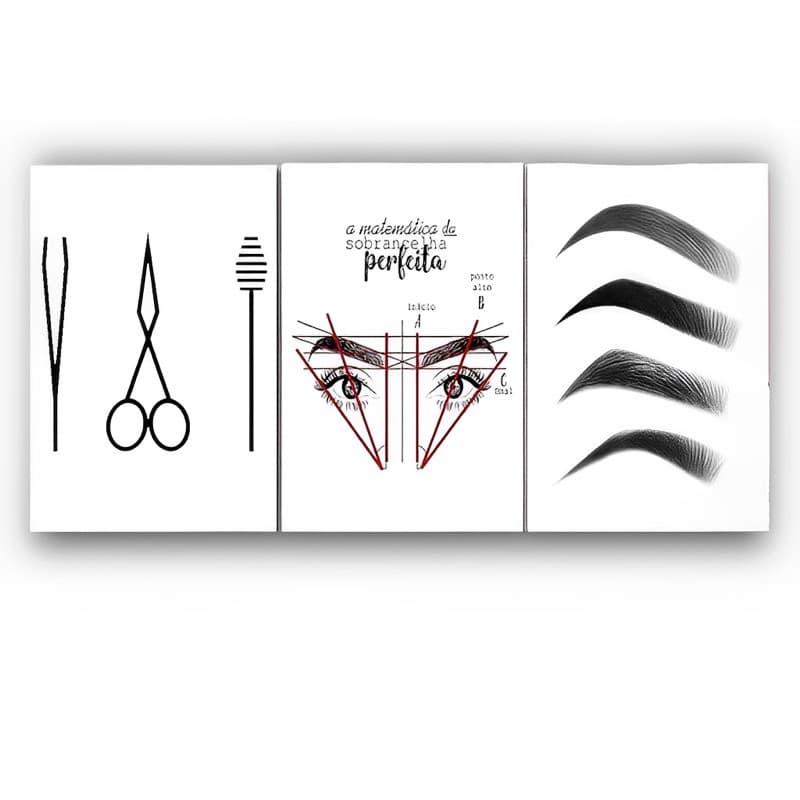 Kit 3 Quadros Decorativos Para Studio Design de Sobrancelhas cilios