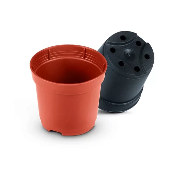 kit 40 Vasos Pote 6 Para Mini Cactos E Suculentas