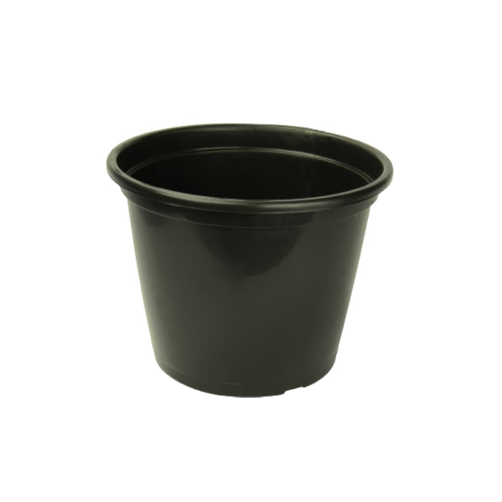 100 Vasos Pote Tamanho 20 de 3 Litros Para Plantas, Mudas e Suculentas