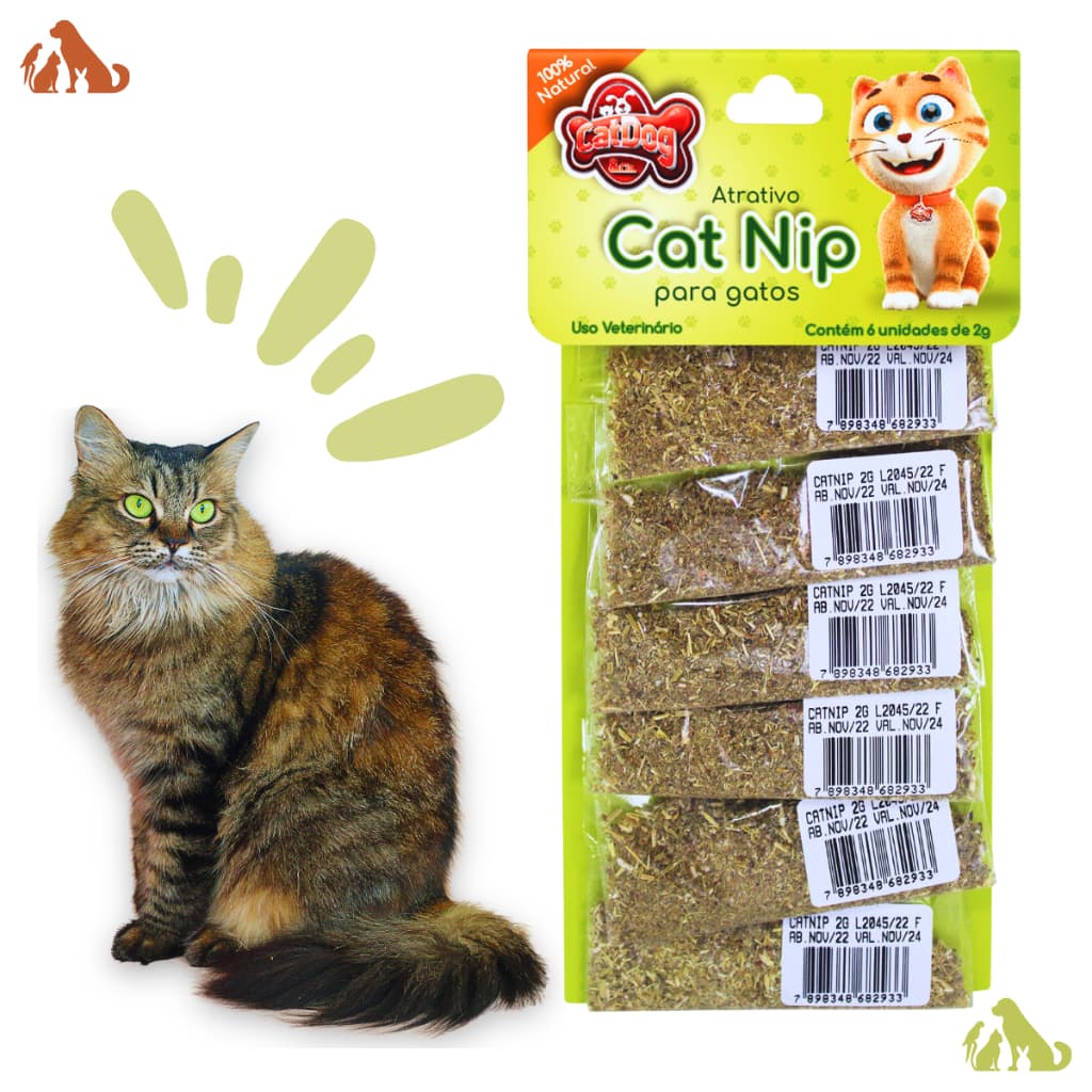 CatNip 100% natural 1 unidade de 2g