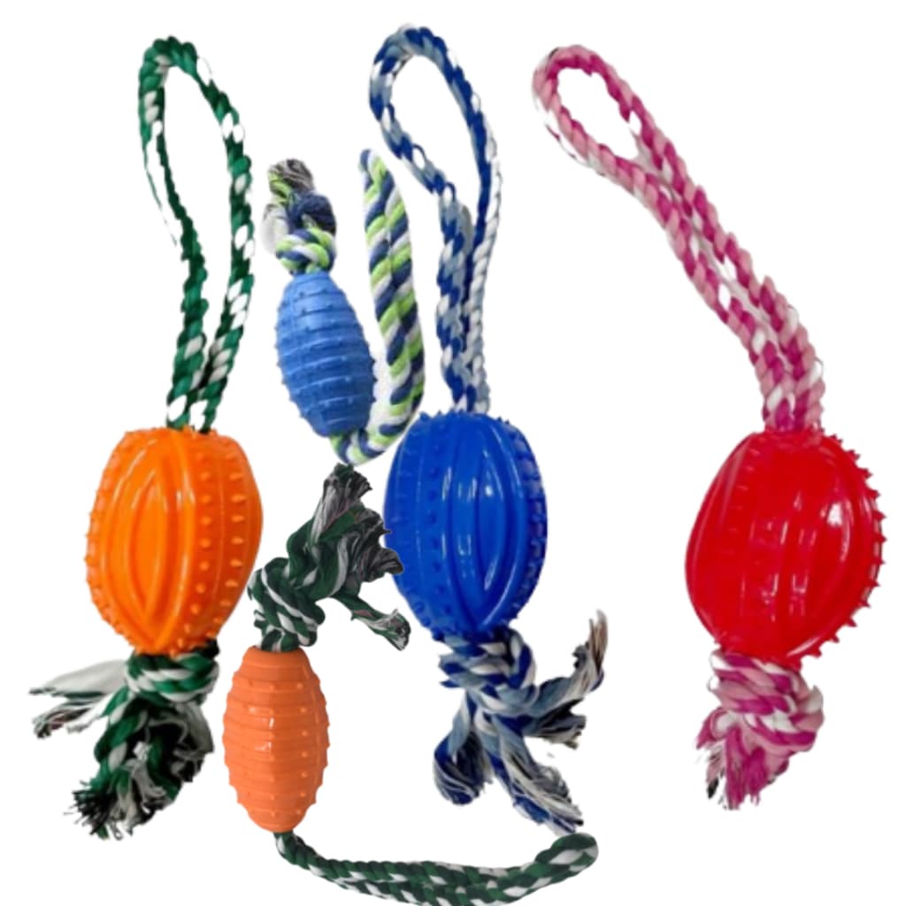 Brinquedo Mordedor Bola Oval Com Corda