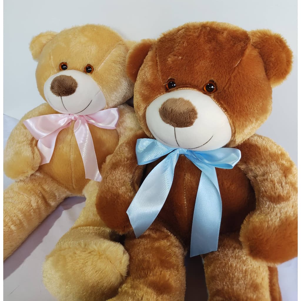 Urso de Pelúcia Teddy Antialérgico Grande 50 cm Várias Cores