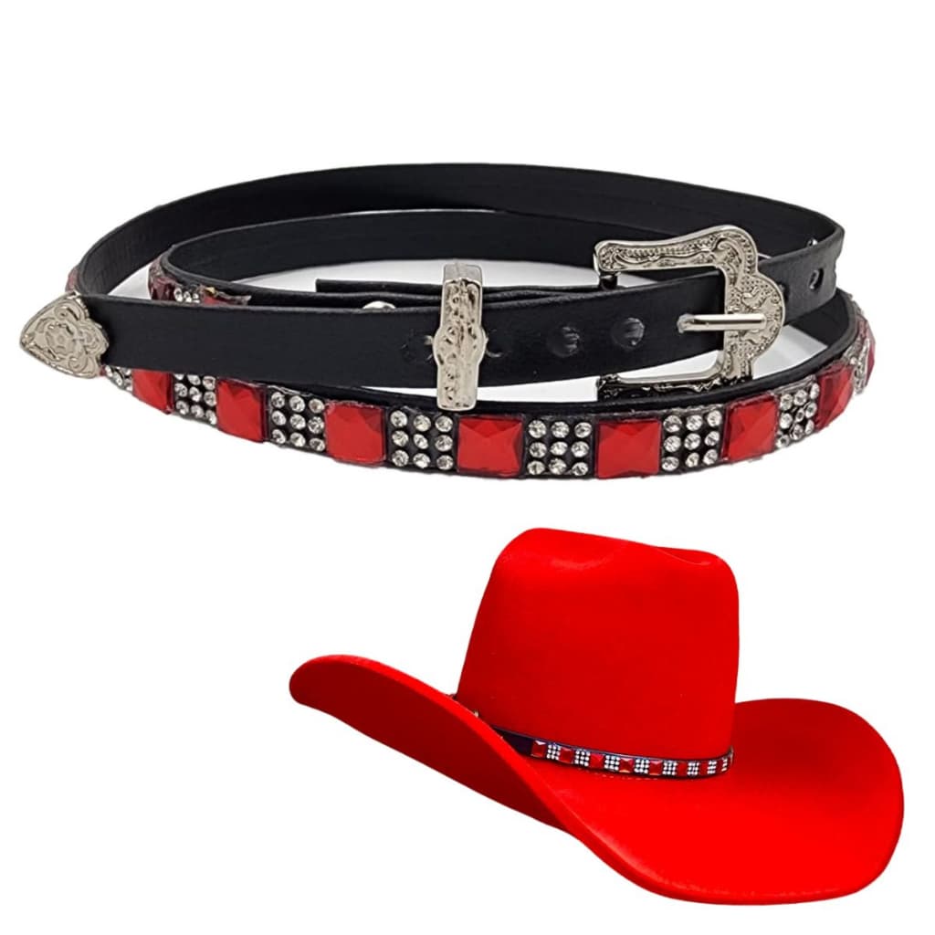 Chapéu Colorido Country Americano Cowgirl Sertanejo Feminino