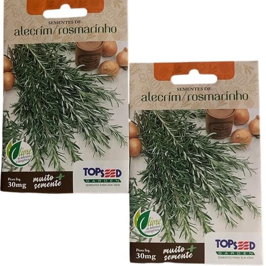 2X Sementes de Alecrim Rosmarinho Ervas Temperos Horta
