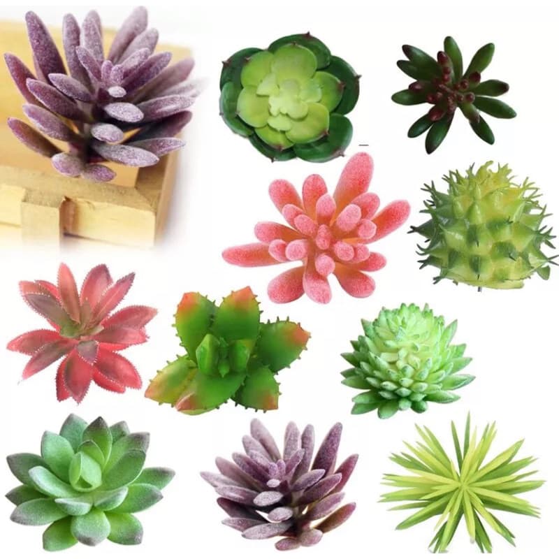 Mini Suculentas Artificiais Para Decoração Ornamentação