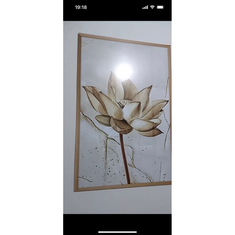 1 peça 60x90