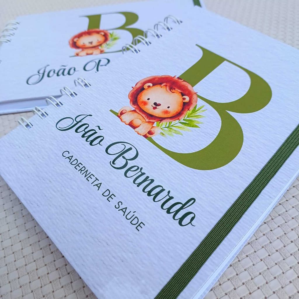 Caderneta de vacina e livro do bebê minimalista menino ou menina a cor que quiser