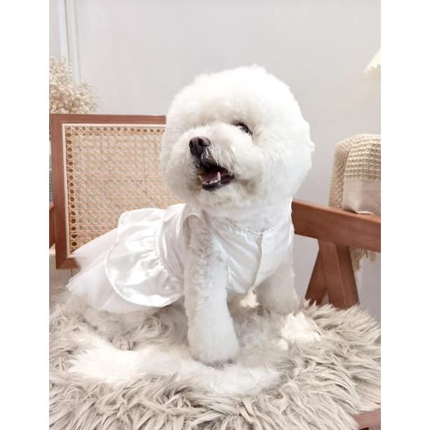 Roupa pet Noiva pet Véu/Vestido De Noiva para cachorro e gato/Verão/Casamento roupa verão primavera cosplay