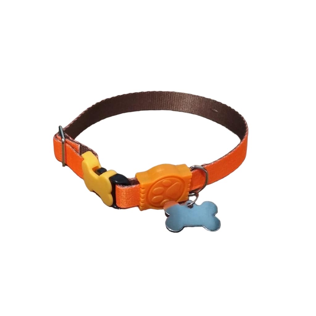 Coleira para Cachorro pequeno porte / Com Plaquinha de identificação gravada a laser