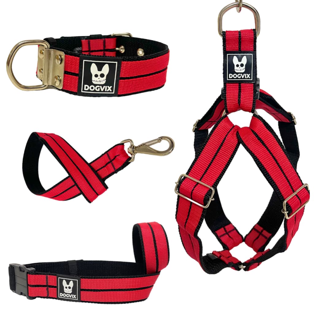 Conjunto Guia Coleira Peitoral Focinheira Para Cachorro Pet Adulto Pitbull Dogvix