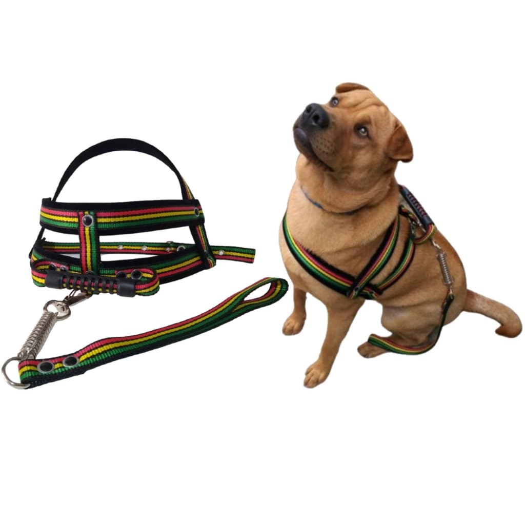 Coleira Peitoral para Cães de Médio e Grande Porte em Fita e Veludo Super Reforçada