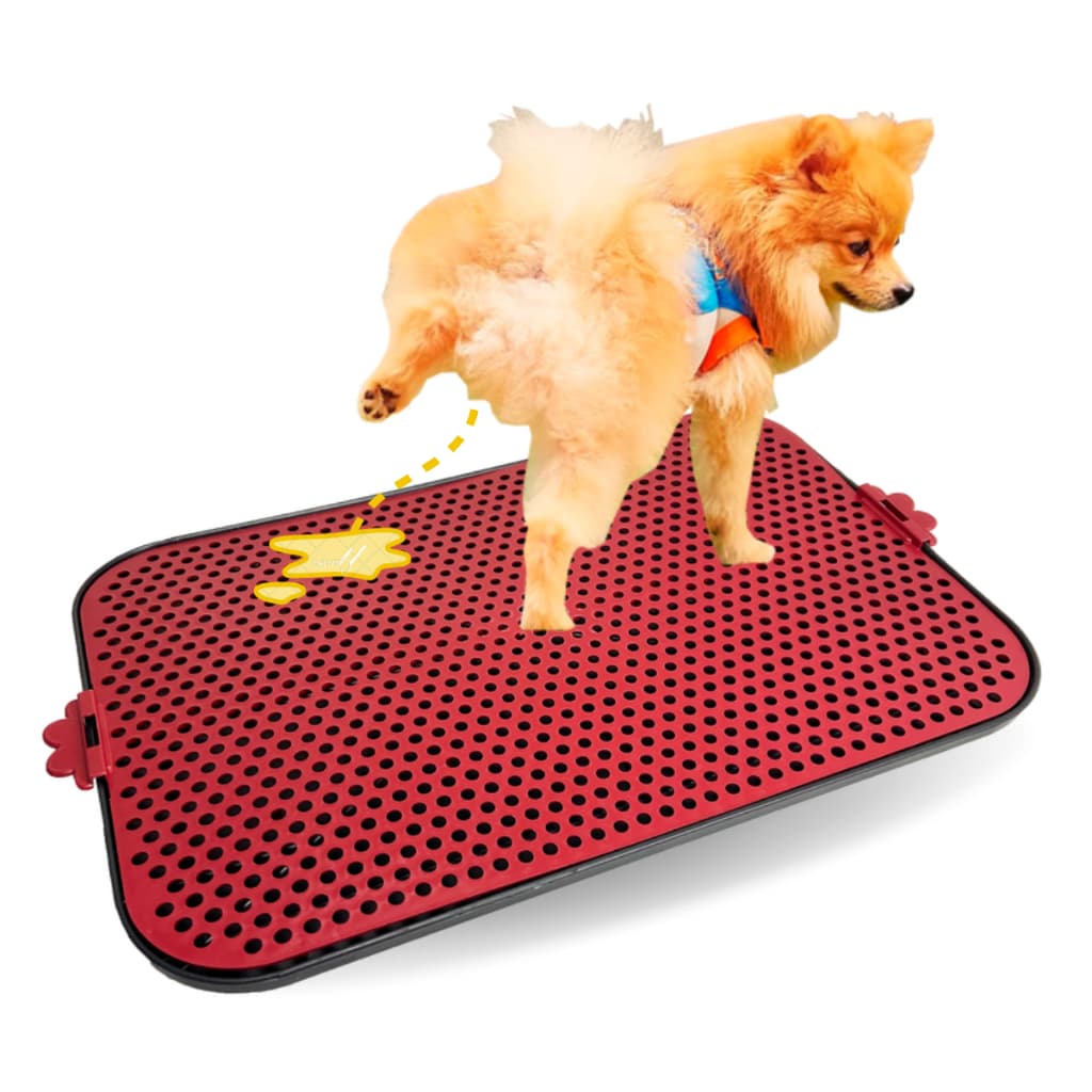 Sanitário Para Cães Tapete Higiênico Banheiro Pet Grande Lavável Pipi Dog
