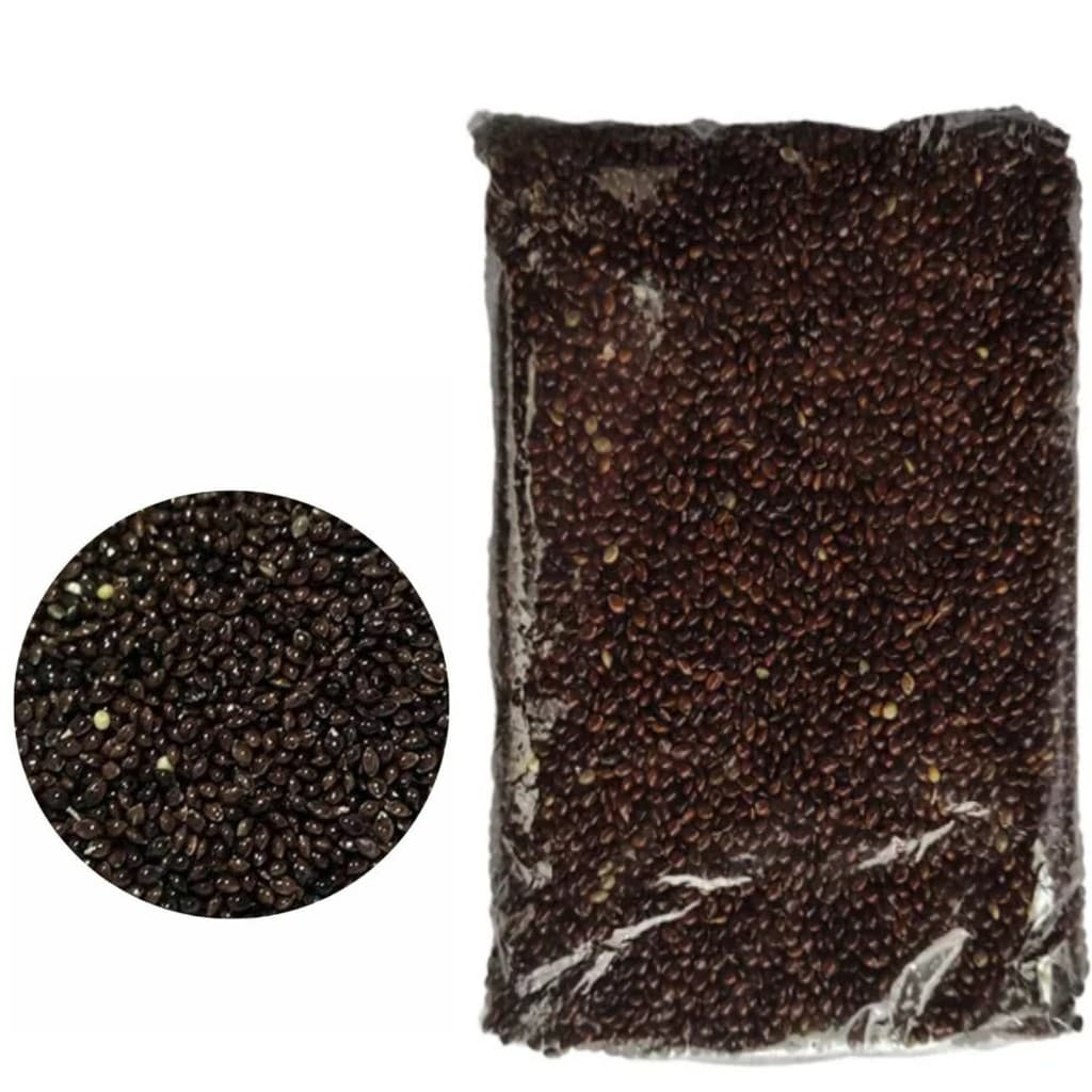 Painço Preto Semente Limpa Curió Bicudo Azulão 1kg