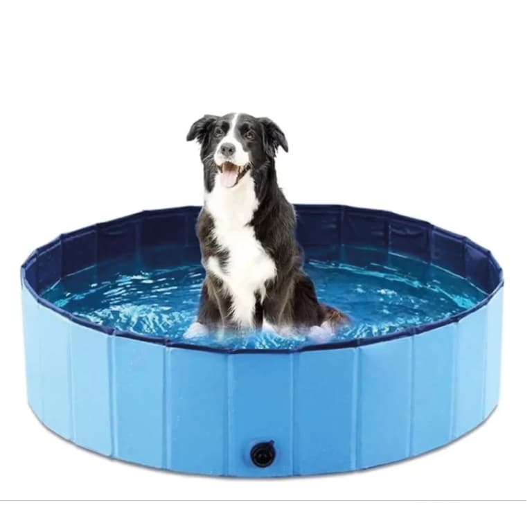 Piscina Portátil Para Cães Pet Em Pvc Antideslizante Grande 100x30cm