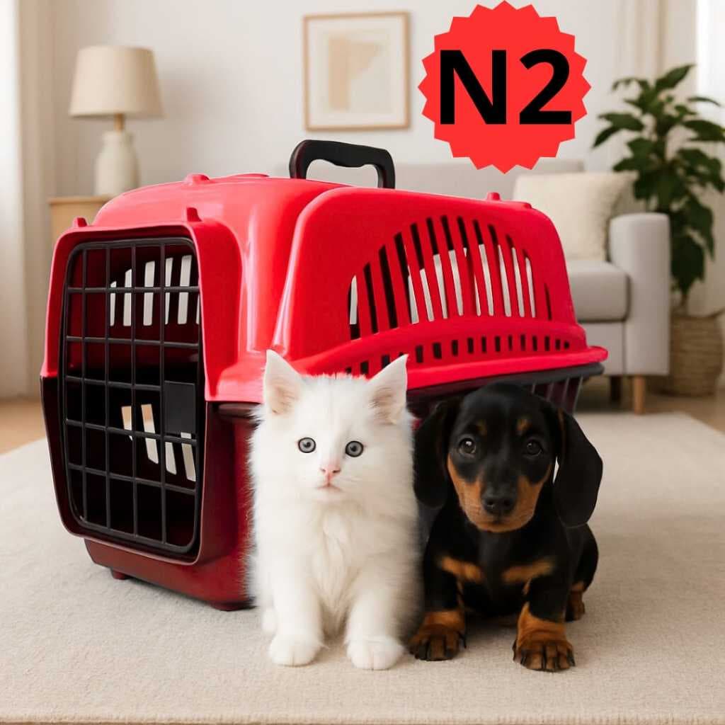 Caixa De Transporte Gato Cachorro Pet N2 Pequena Caixa Para Transportar Pet