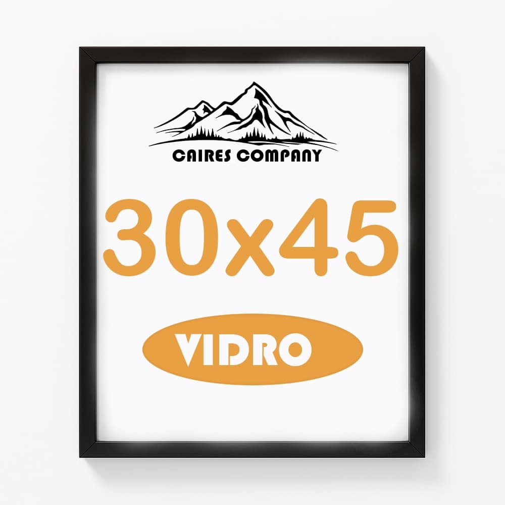 Quadro P/ Foto 30x45 Molduras Variadas Com Vidro