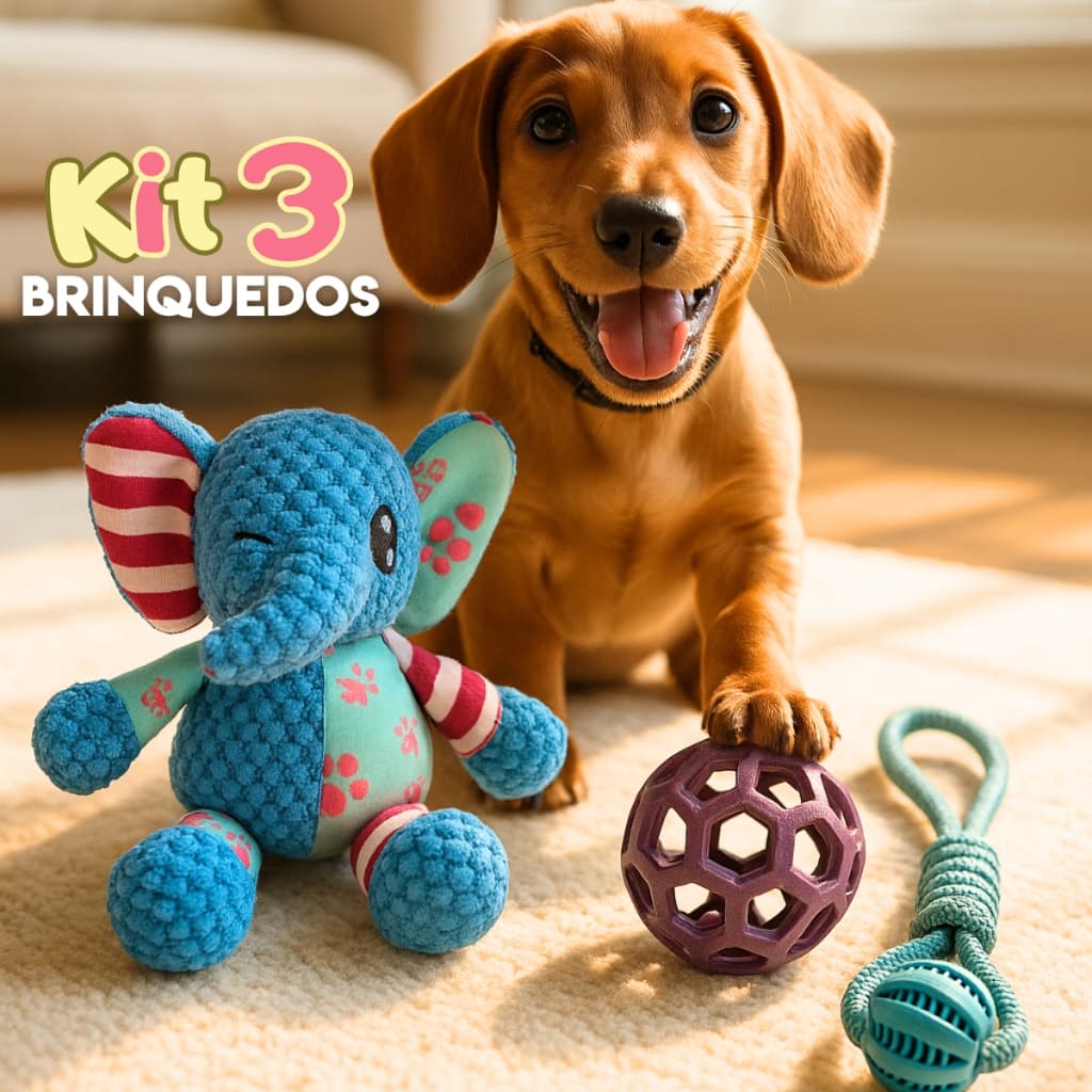 Kit 3 Brinquedos para Cachorro Pet Pelúcia Bola Recheável e Corda com Bola