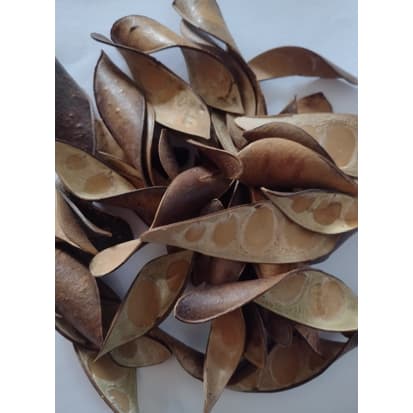 Cascas para artesanato - 140g N1