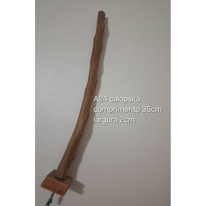 poleiro calopsita, ring neck, roselas,  poleiro natural para pássaros, sabiá, pixarro, trinca ferro A24