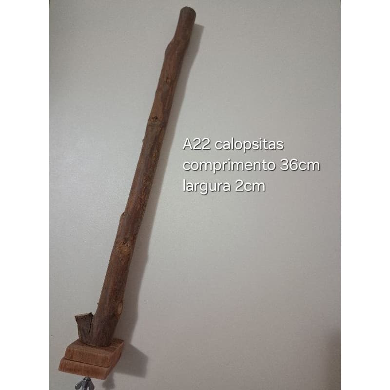 poleiro calopsitq, ring neck, rosela, pixarro, sabiá,  trinca ferro - poleiro de galhos naturais para pássaros A22