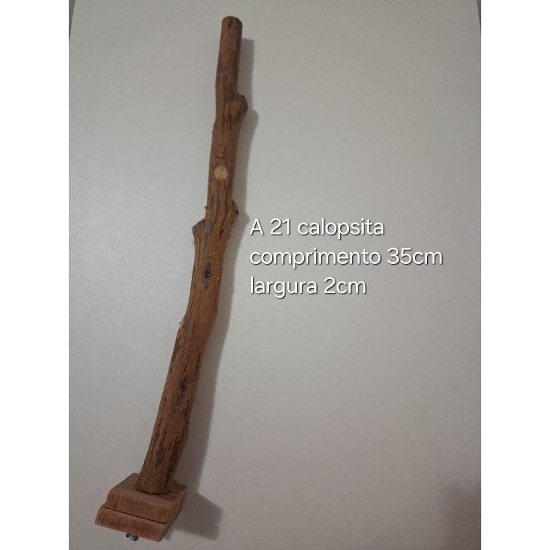 poleiro calopsita, ring neck, rosela, trinca ferro, sabiá,  pixarro, pássaro preto - poleiro de galhos naturais aves A21