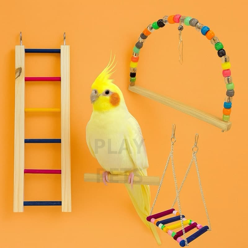 KIT Balanço CORRENTE + Balanço MISSANGA + Ponte Escada 40CM para Calopsitas, Aves