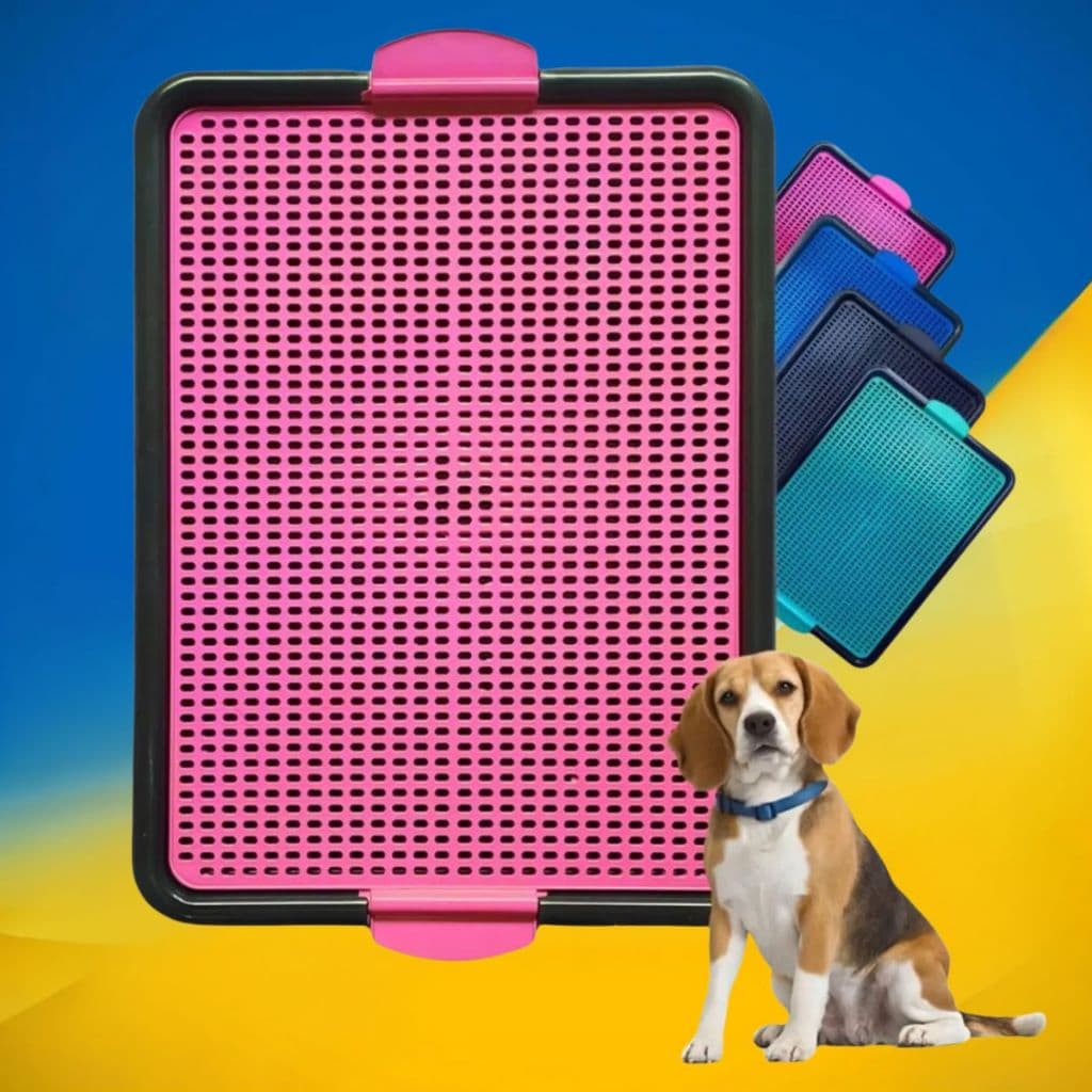 Tapete Sanitário Canino Higiênico com Grade Banheiro para Cães Pequenos e Médios Brinqpet
