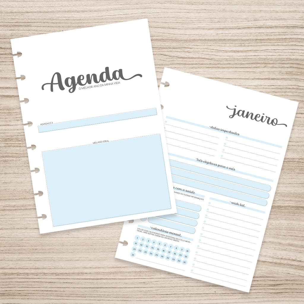 Refil Agenda Permanente para Caderno de Discos Inteligente (Colegial - 9 furos)