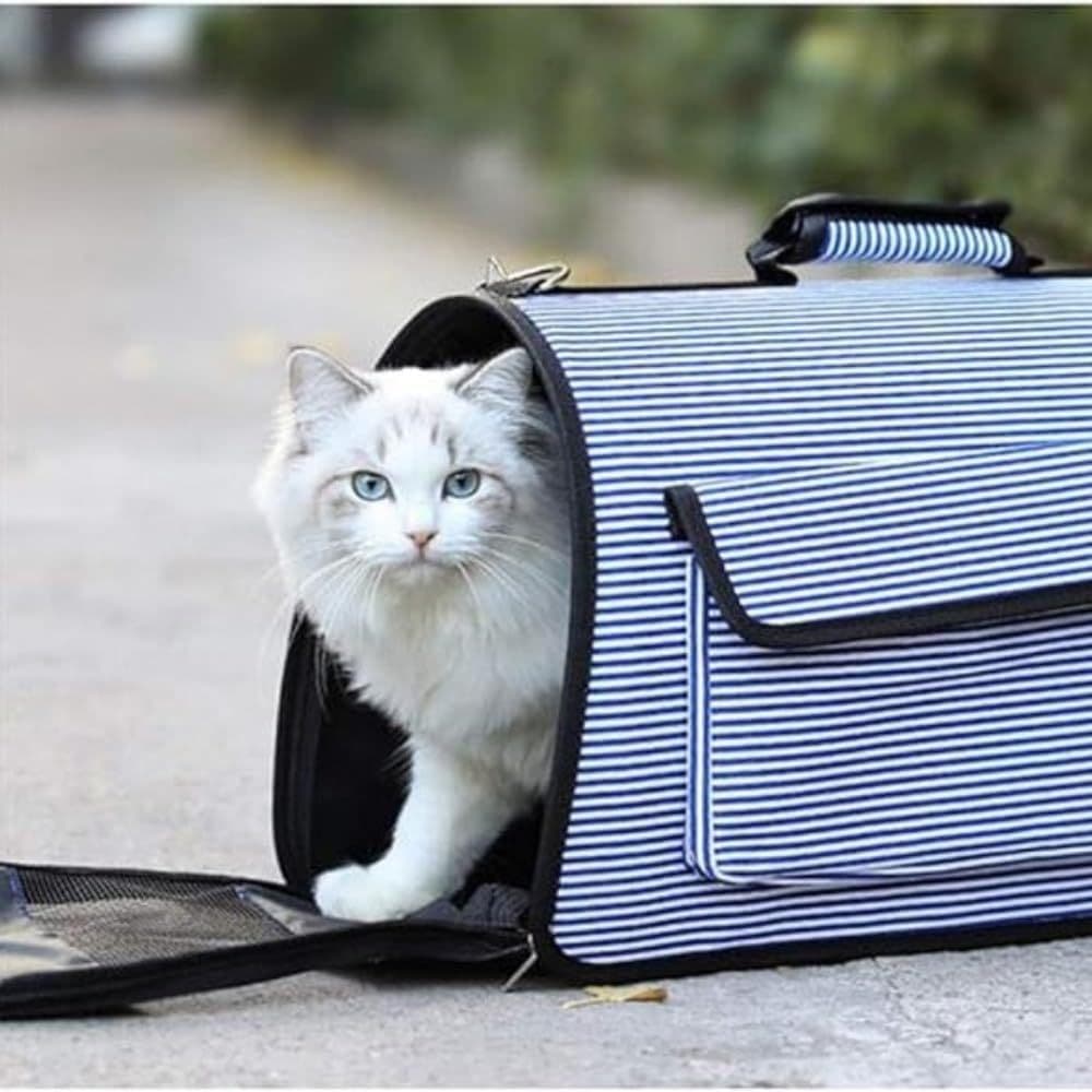 Bolsa De Transporte Para Pet Cães E Gatos Com Alça E Bolso Cor Preto Com Listras
