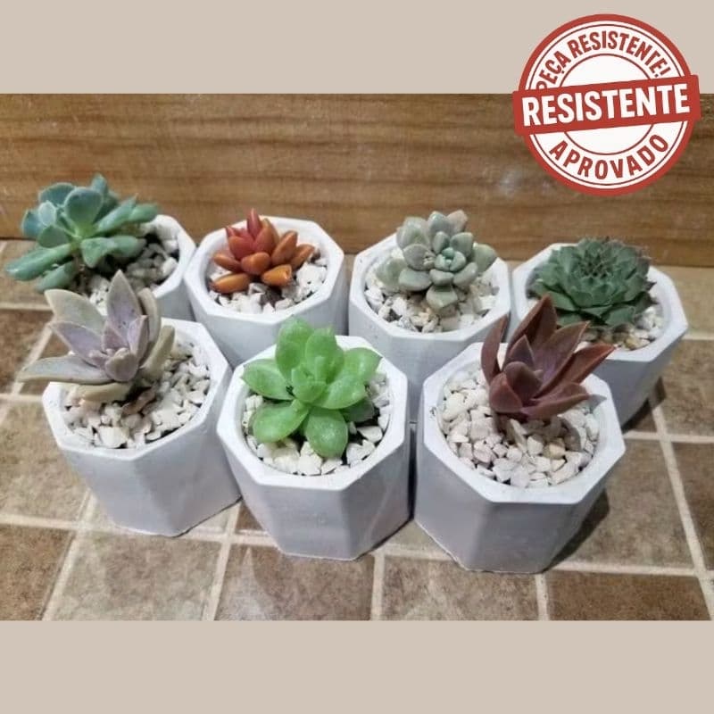 Kit 03 Mini Vaso Decorativo de Gesso para Suculentas Vaso Branco Marmorizado Pote Mini Platinhas