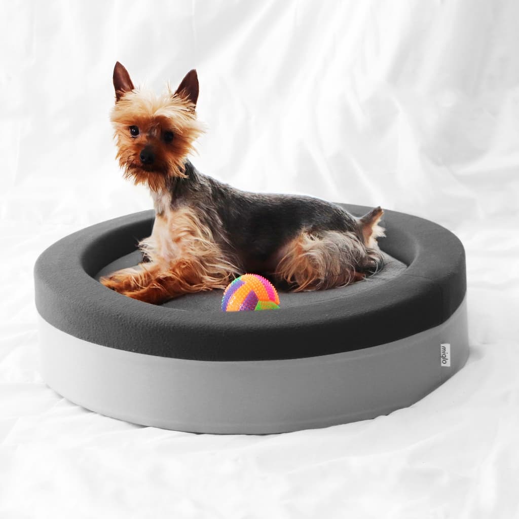 Cama para Cachorro Pequeno e Gato com Design Minimalista