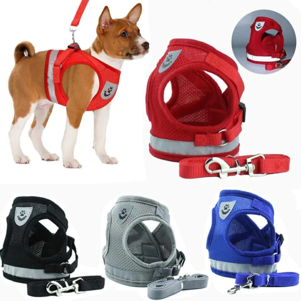 Peitoral + Guia Caes Cachorro Gato Coleira Colete Regulavel Super Conforto Pet Passeio Praticidade