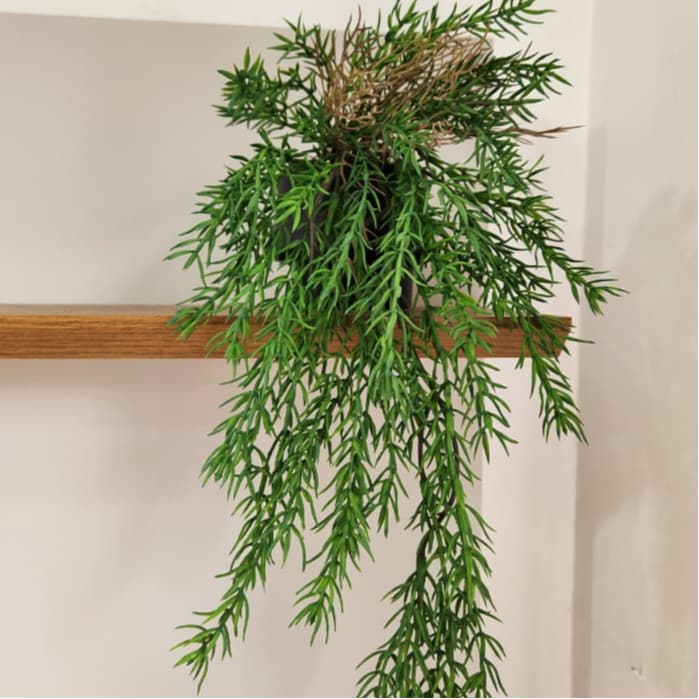 Vaso Pendente Jiboia - Gra Decorações