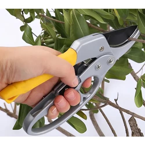 Tesoura De Poda Galhos Com Multiplicador De Força Aço Carbono