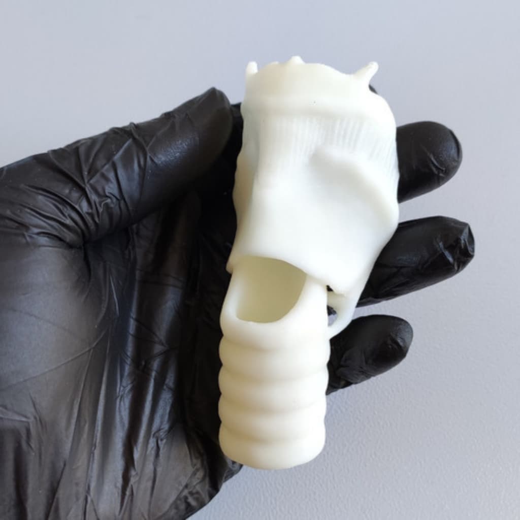 Modelo Laringe Anatomia Treino Via Aérea Cricotireoidotomia