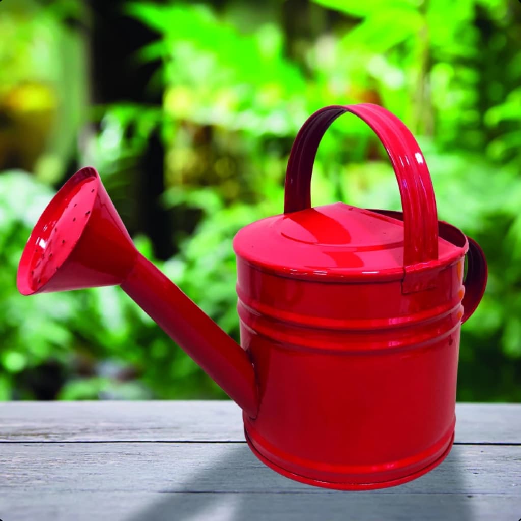 Regador para Jardim Plantas Horta Decorações Metal 3L
