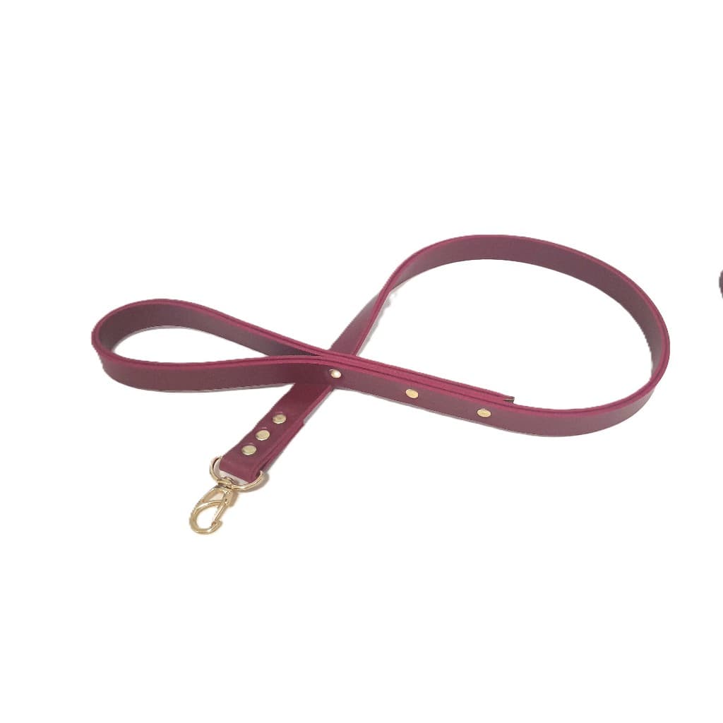Guia Luxo para Cachorro em Couro – Acabamento Dourado
