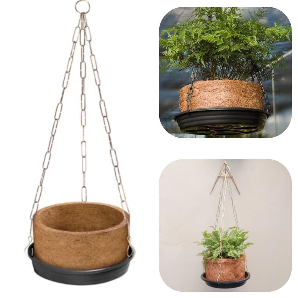 Kit Vaso Fibra de Coco Grande completo Prato, Corrente Samambaias Orquideas Plantas Xaxim Nutricoco