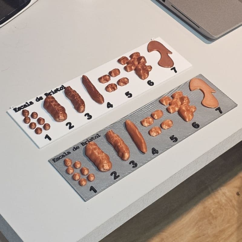 Escala de Bristol Tabela Fezes Cocô com Números Material Educativo Saúde Intestinal Clínicas Ensino