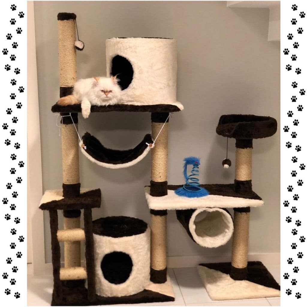 Arranhador com Casinhas E Rede Para Gatos varias cores