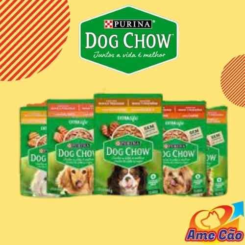 Kit 5 Sachês para Cães - Dog Chow 100g