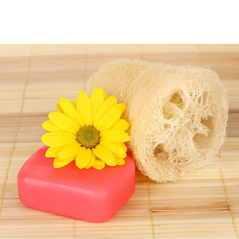 Esponja Vegetal KIT 3/6/9/12/15 Unidades Bucha Minizinha Natural 100% Ecológica