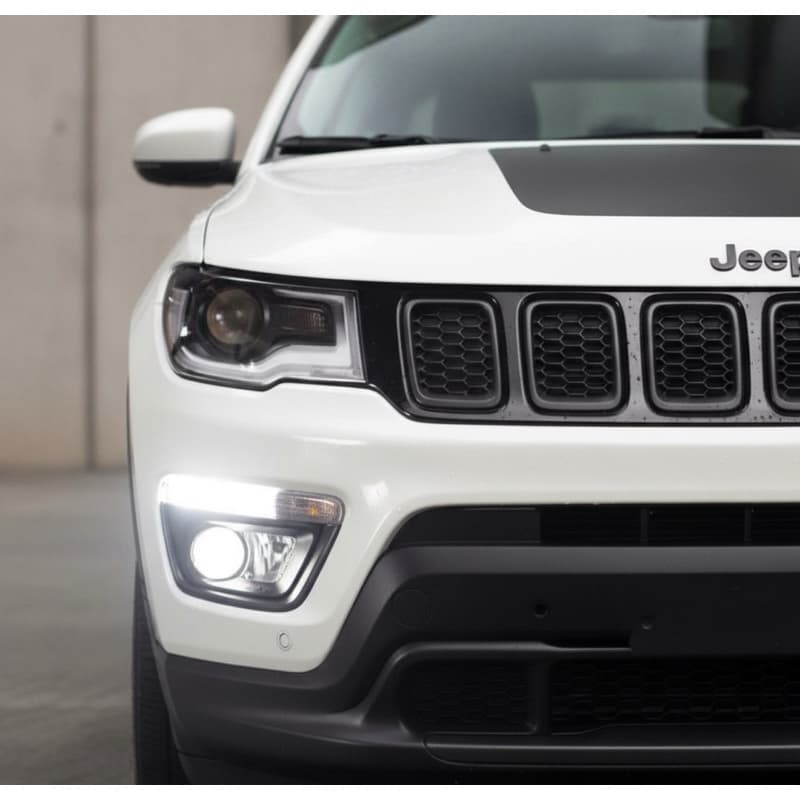 Par Lampadas Branca H16 Psx24w 8500k Diurna Jeep Compass