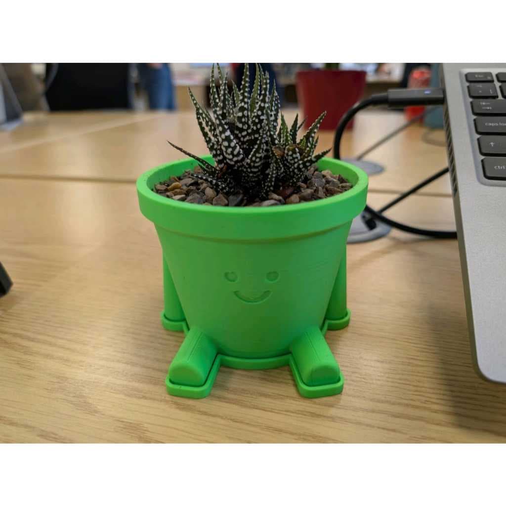 Vasinho de planta
