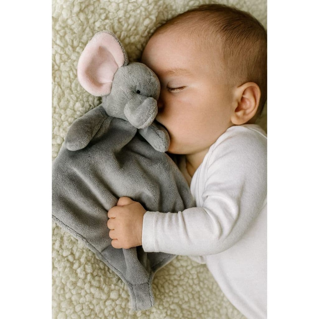Naninha Plush com Porta Chupeta Antialérgico Vários Modelos