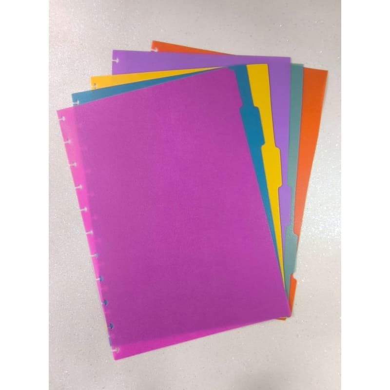 KIT DE DIVISORIAS PLASTICAS 6 UNIDADES - LEIA O ANUNCIO