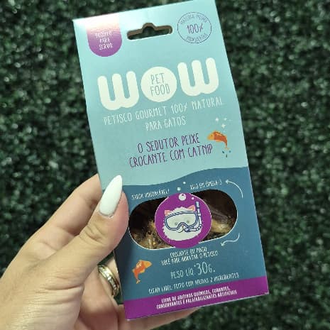 Petisco Natural Gourmet para Gatos Peixe com Catnip Gato Alimento Pet Saudável Desidratado