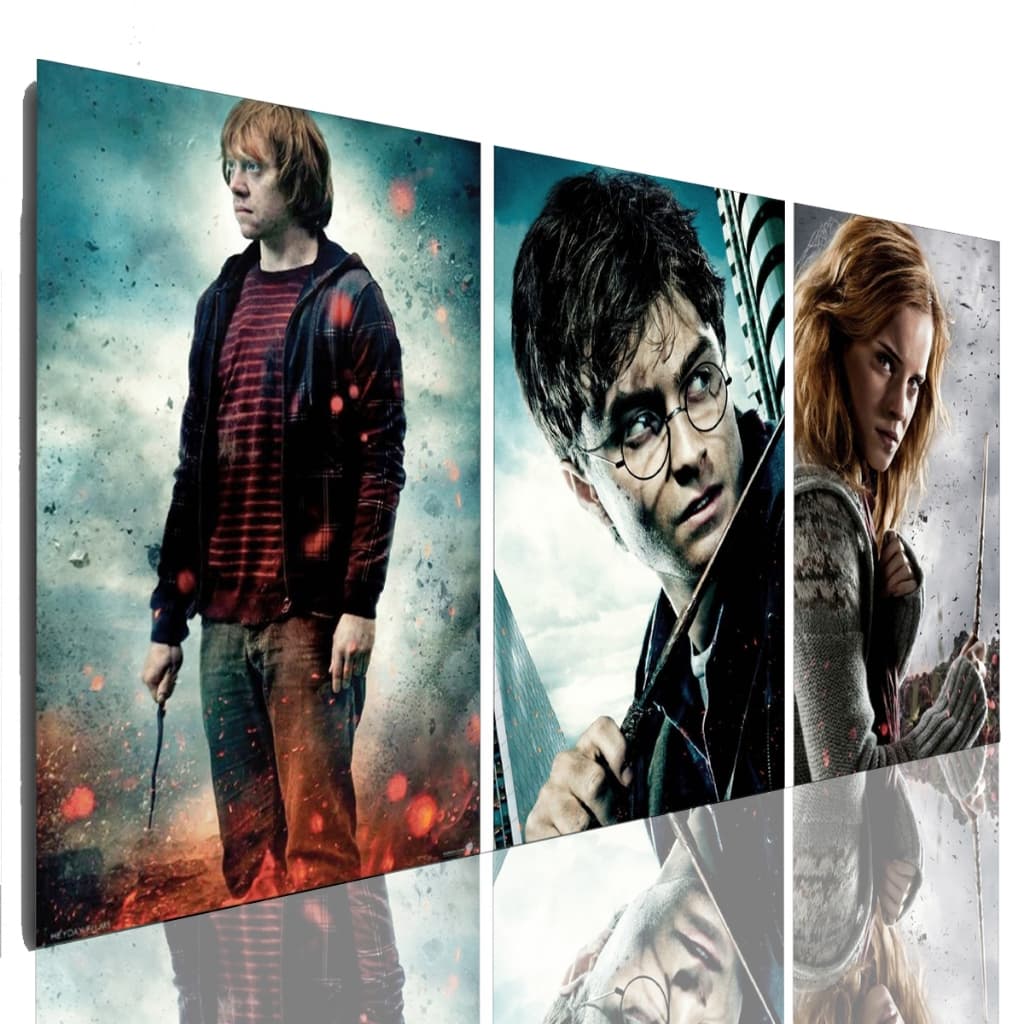 Quadro Decorativo Rony Harry e Hermione Grande 120 X 60 Cm