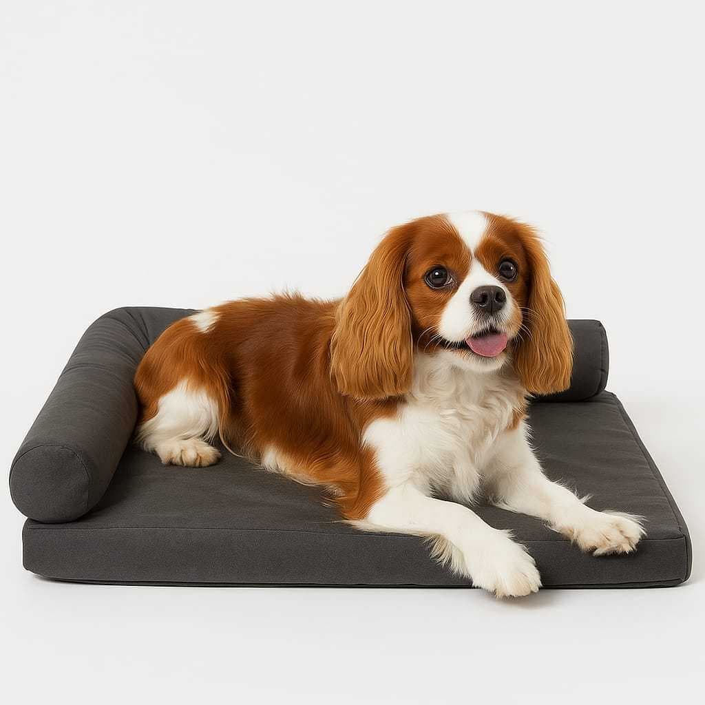 🐶 CAMA PET PREMIUM M/G – 80x60cm Conforto, elegância e proteção que seu pet merece!
